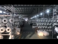 Pakaian Renang Bikini